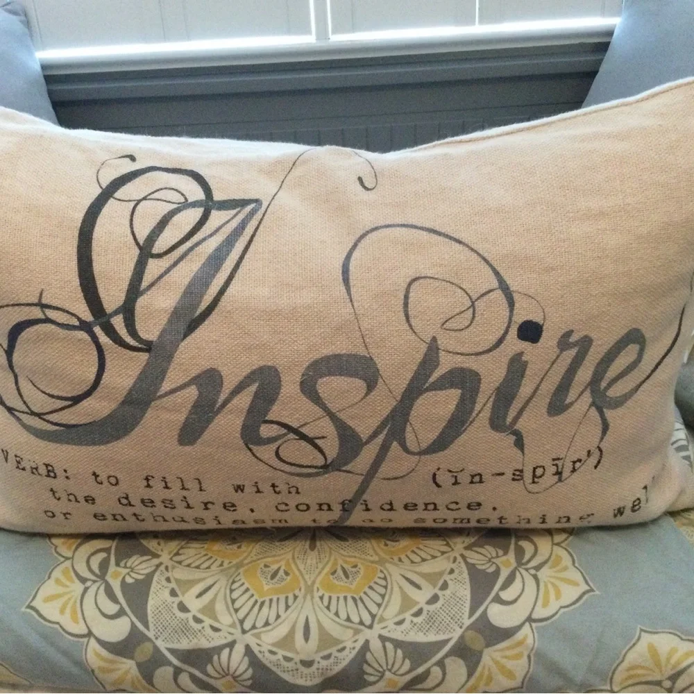 Pottery Barn throw pillow
